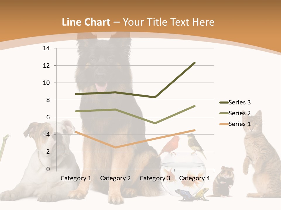 German Shepherd Looking At Camera Ferret PowerPoint Template