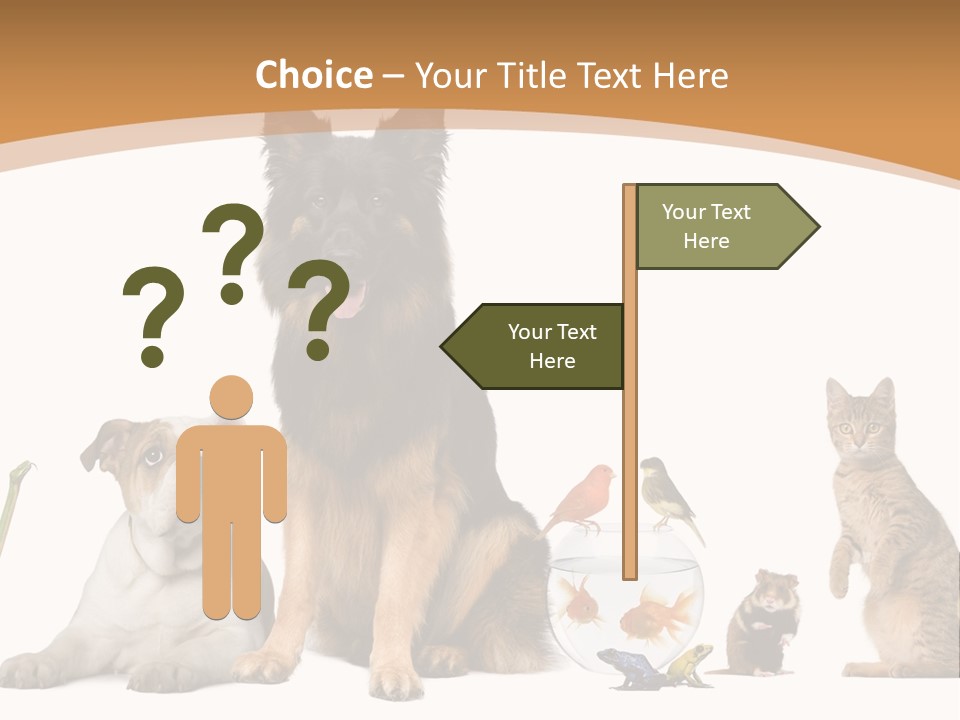 German Shepherd Looking At Camera Ferret PowerPoint Template