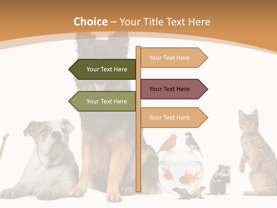 German Shepherd Looking At Camera Ferret PowerPoint Template