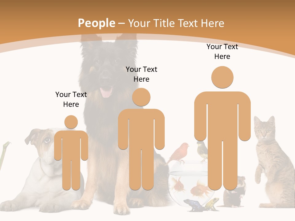 German Shepherd Looking At Camera Ferret PowerPoint Template