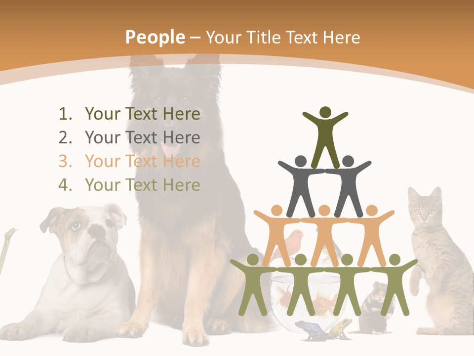 German Shepherd Looking At Camera Ferret PowerPoint Template