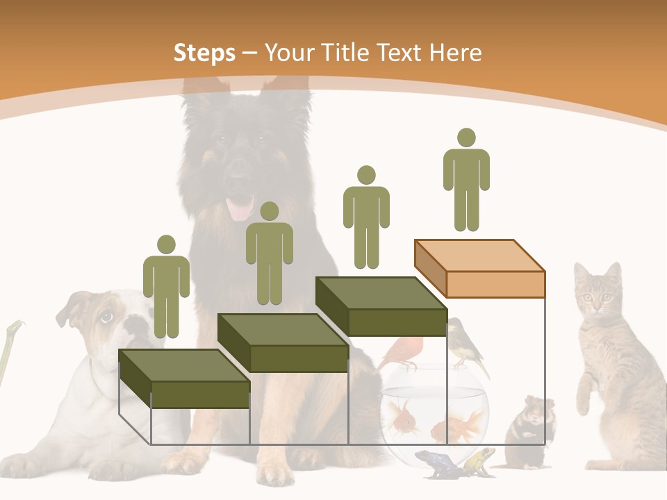 German Shepherd Looking At Camera Ferret PowerPoint Template