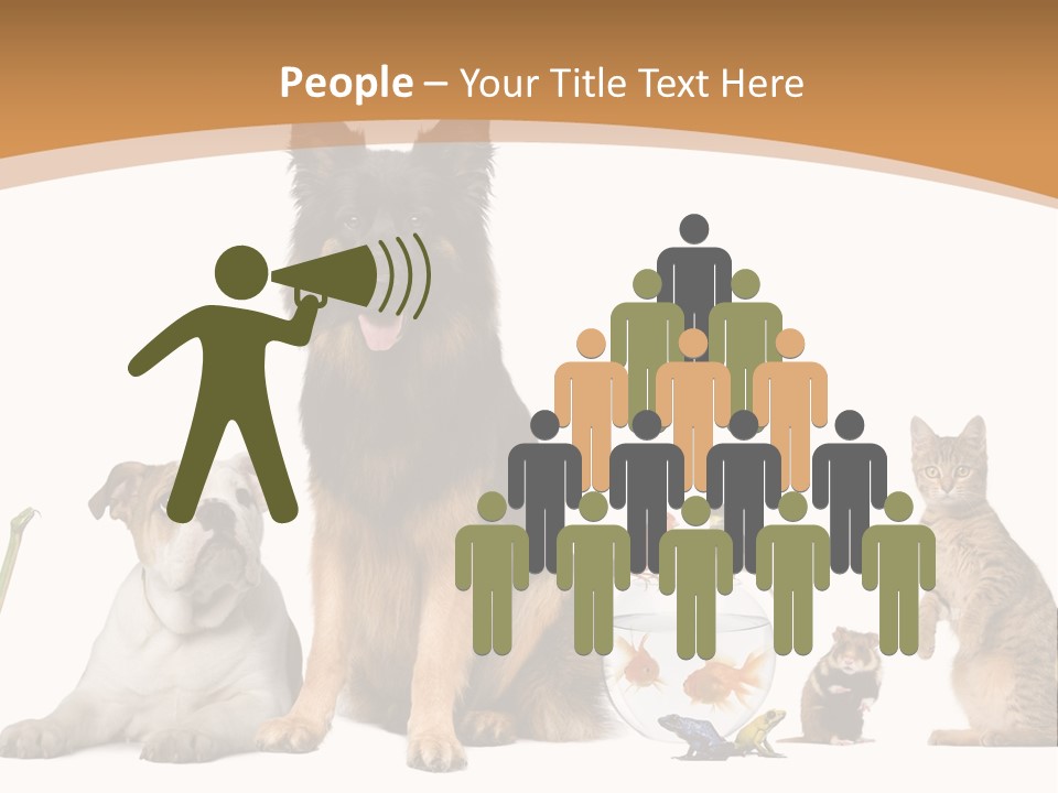 German Shepherd Looking At Camera Ferret PowerPoint Template