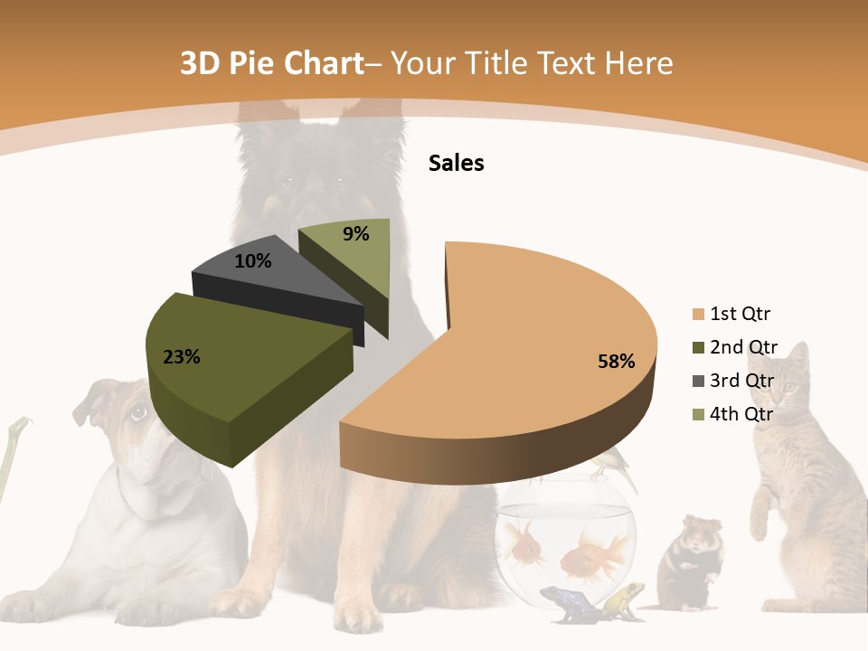 German Shepherd Looking At Camera Ferret PowerPoint Template