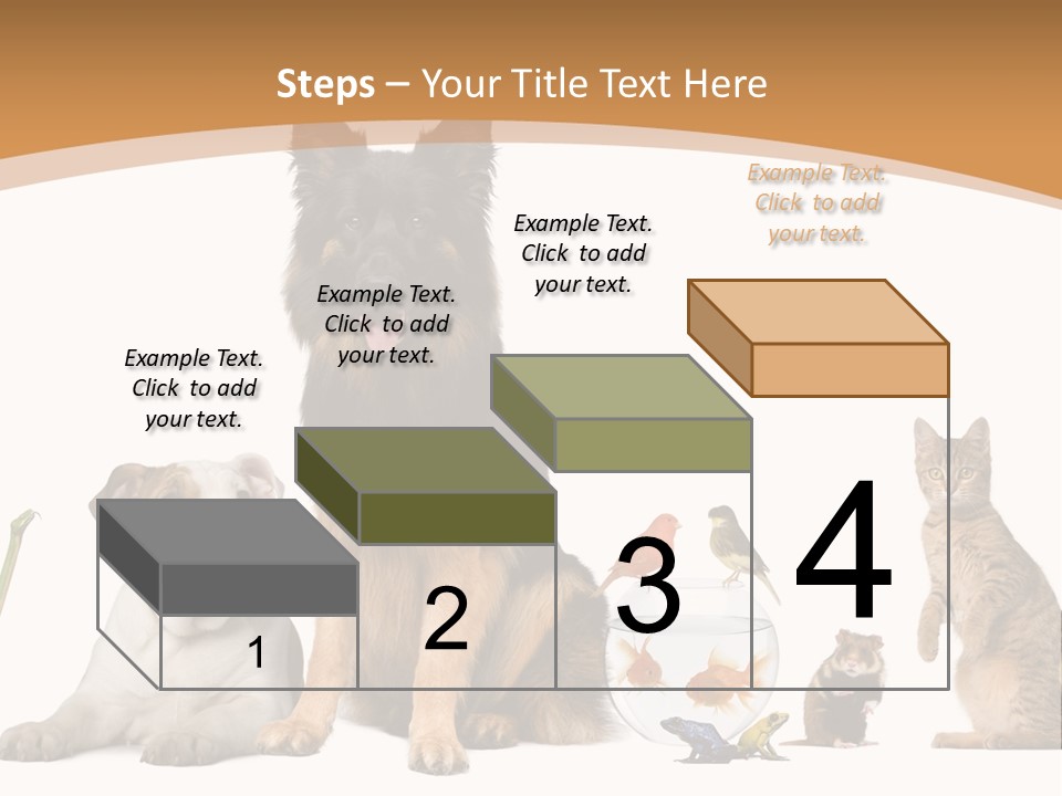German Shepherd Looking At Camera Ferret PowerPoint Template