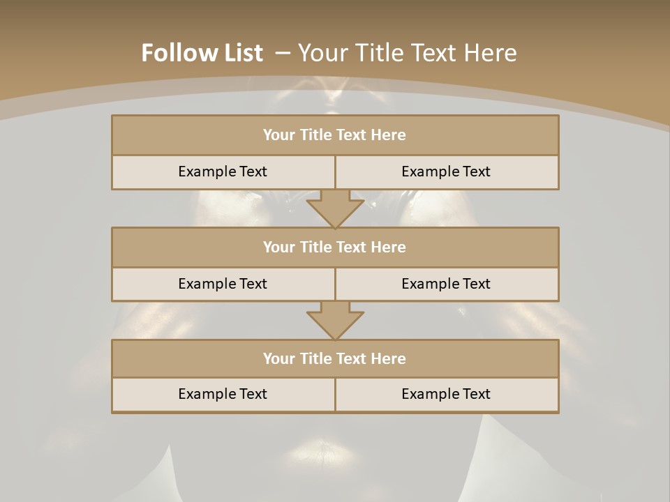 Male Person Fighter PowerPoint Template