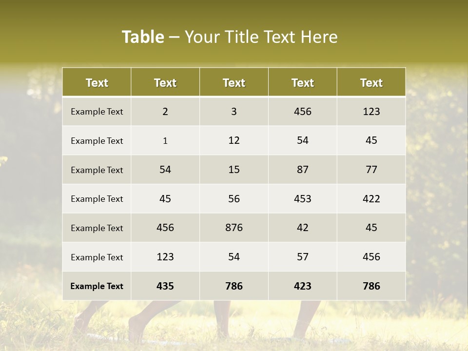 Outdoors Sport Relaxation PowerPoint Template