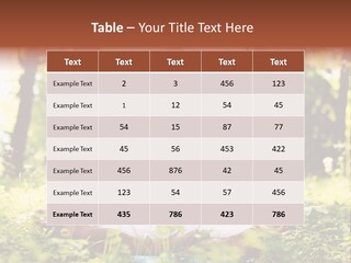 Lifestyle Morning Outdoors PowerPoint Template