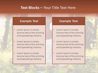 Lifestyle Morning Outdoors PowerPoint Template