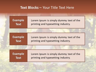 Lifestyle Morning Outdoors PowerPoint Template