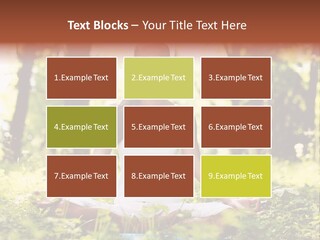 Lifestyle Morning Outdoors PowerPoint Template