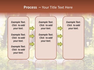 Lifestyle Morning Outdoors PowerPoint Template