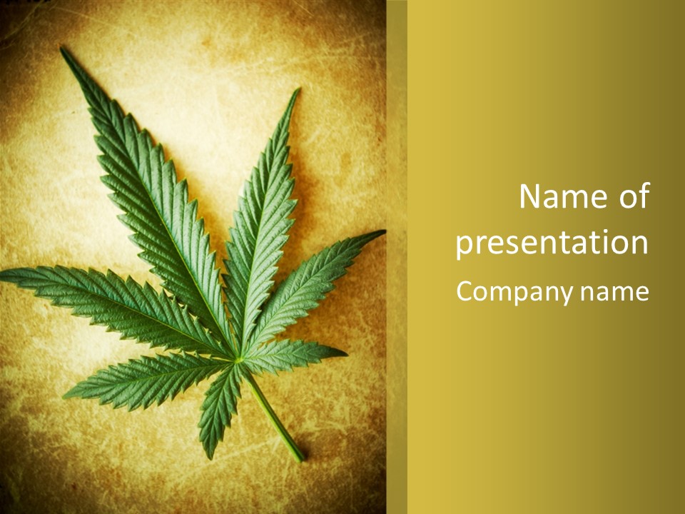 Bush Legal Plant PowerPoint Template