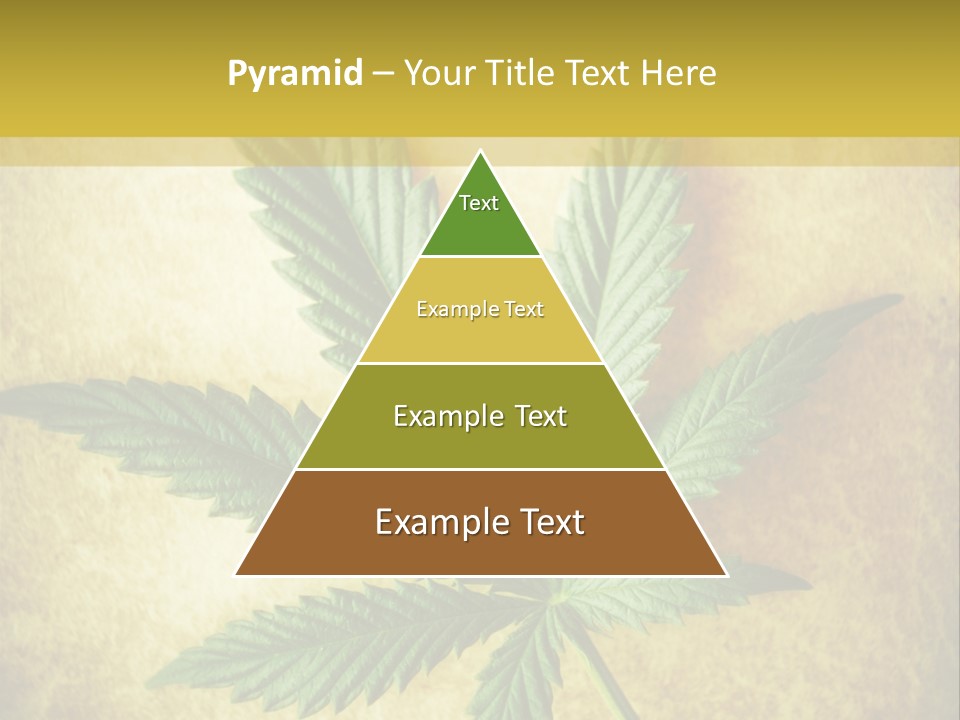 Bush Legal Plant PowerPoint Template