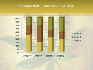 Bush Legal Plant PowerPoint Template