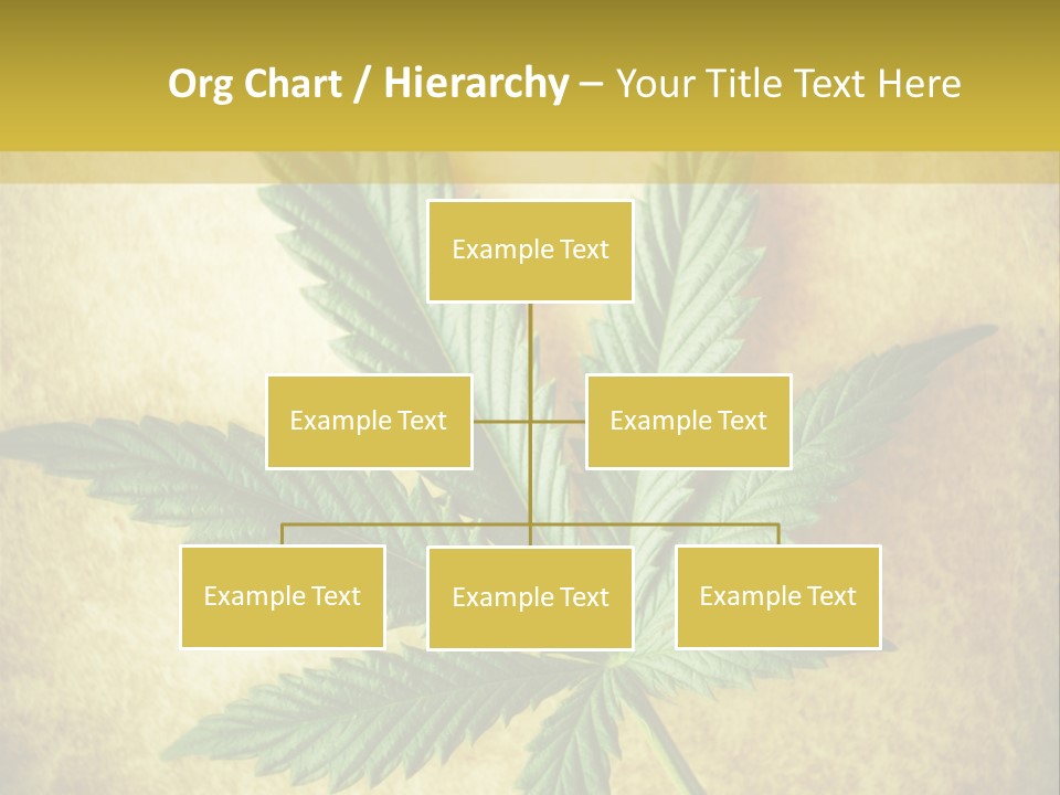 Bush Legal Plant PowerPoint Template