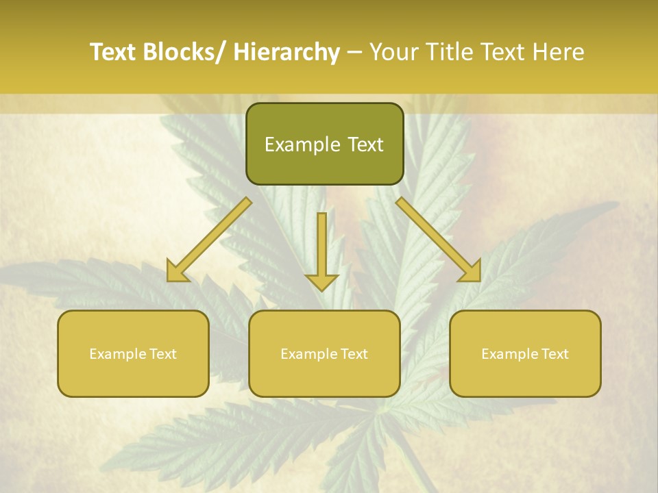 Bush Legal Plant PowerPoint Template