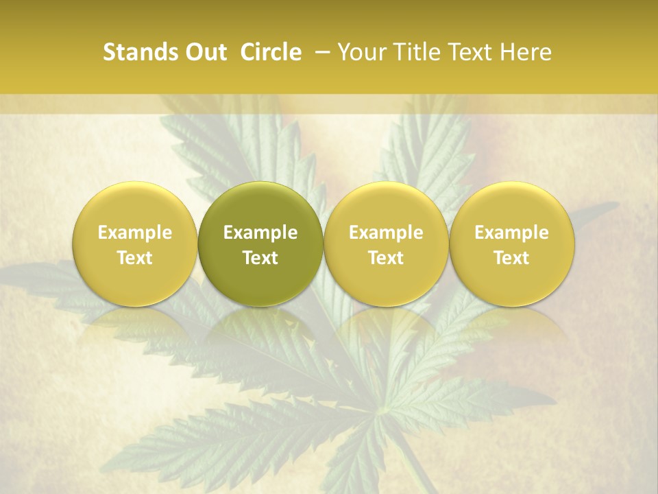 Bush Legal Plant PowerPoint Template