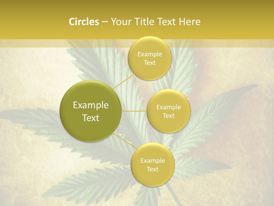 Bush Legal Plant PowerPoint Template