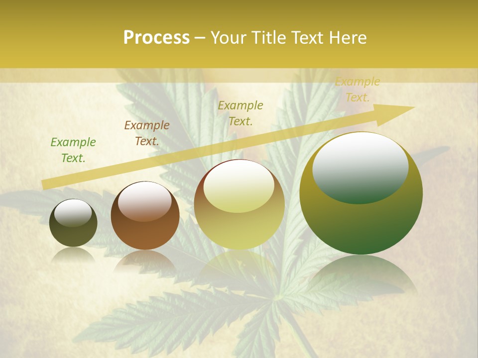 Bush Legal Plant PowerPoint Template