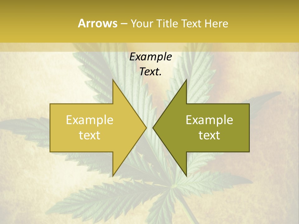 Bush Legal Plant PowerPoint Template