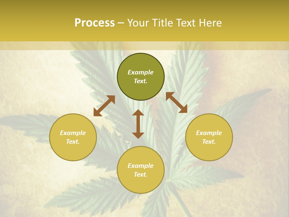 Bush Legal Plant PowerPoint Template