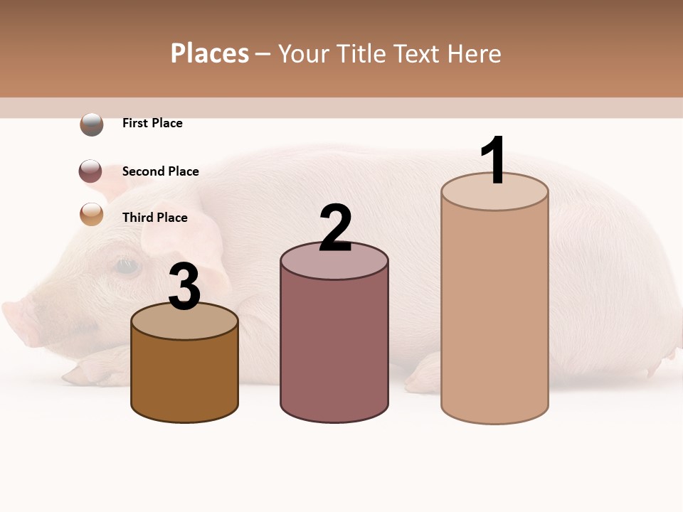 Front Down Shed PowerPoint Template
