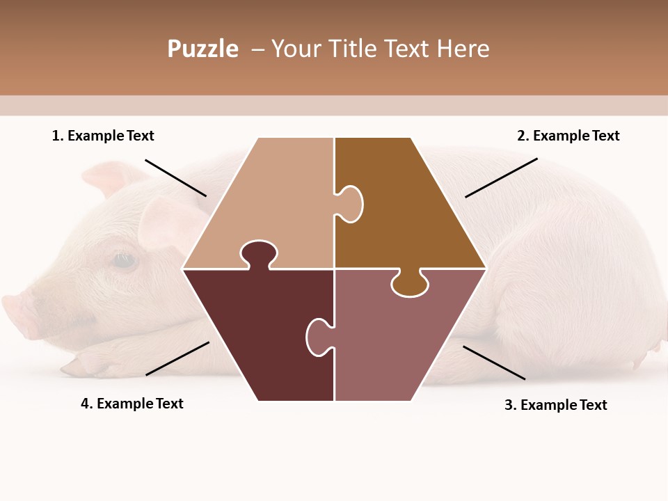 Front Down Shed PowerPoint Template