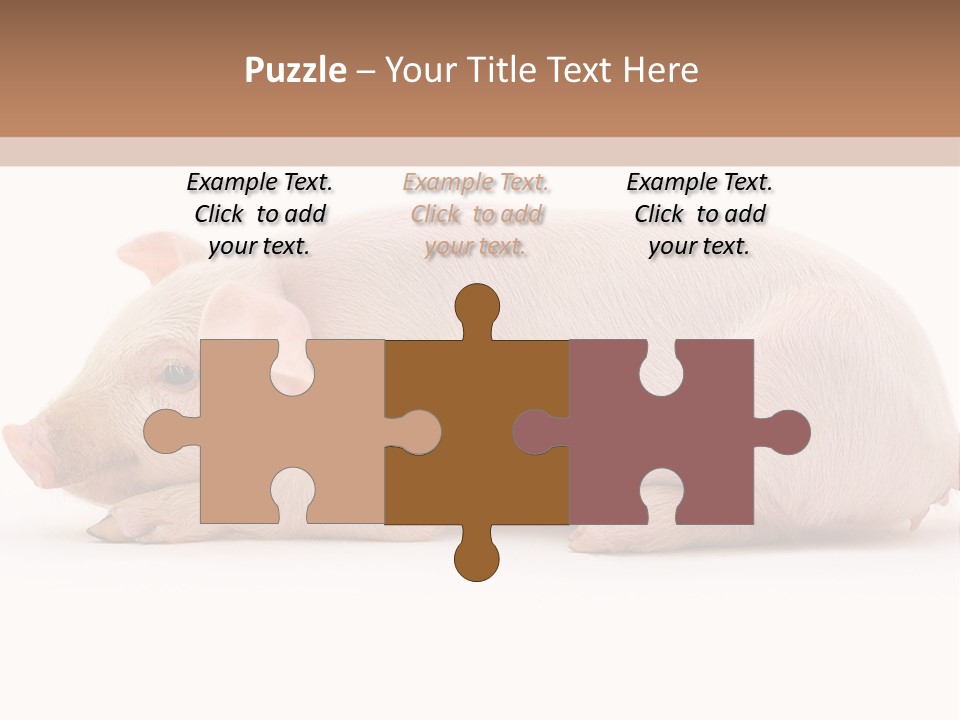 Front Down Shed PowerPoint Template