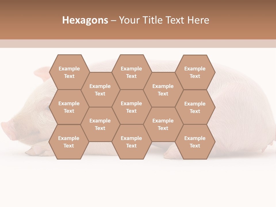 Front Down Shed PowerPoint Template