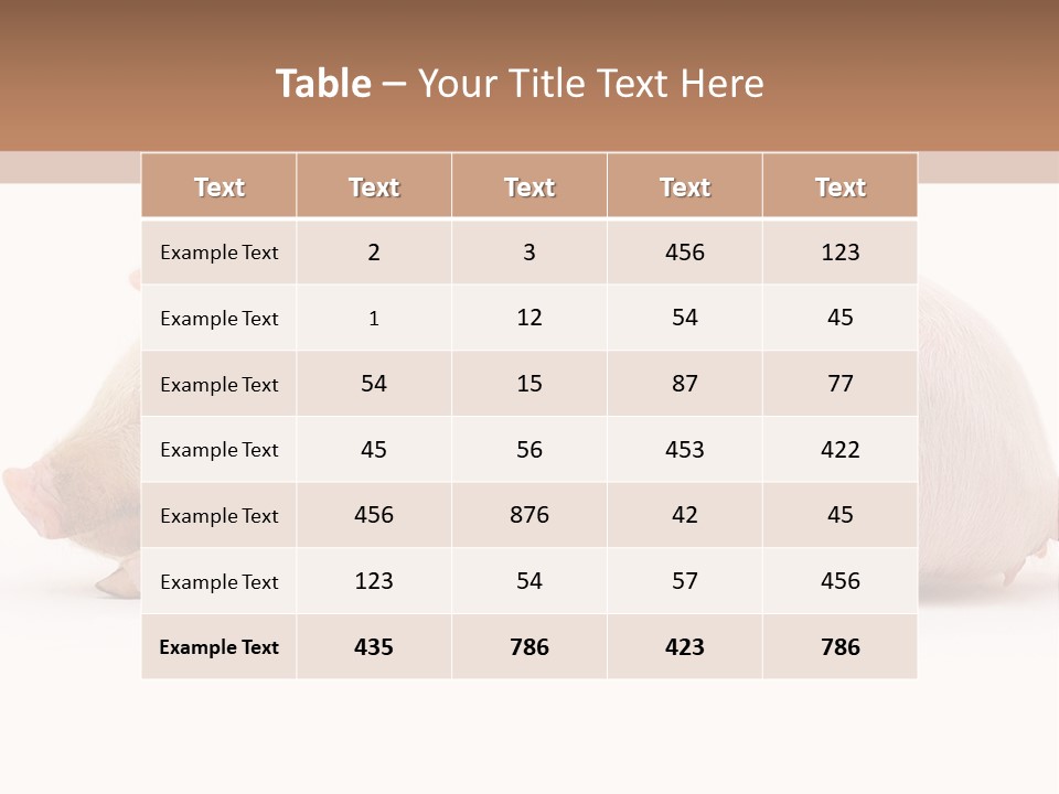 Front Down Shed PowerPoint Template