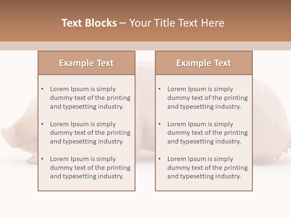 Front Down Shed PowerPoint Template