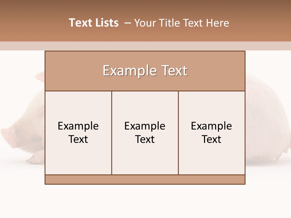 Front Down Shed PowerPoint Template