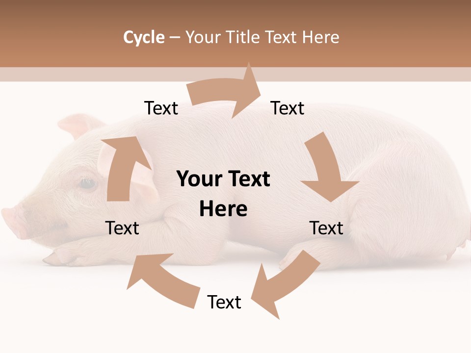 Front Down Shed PowerPoint Template