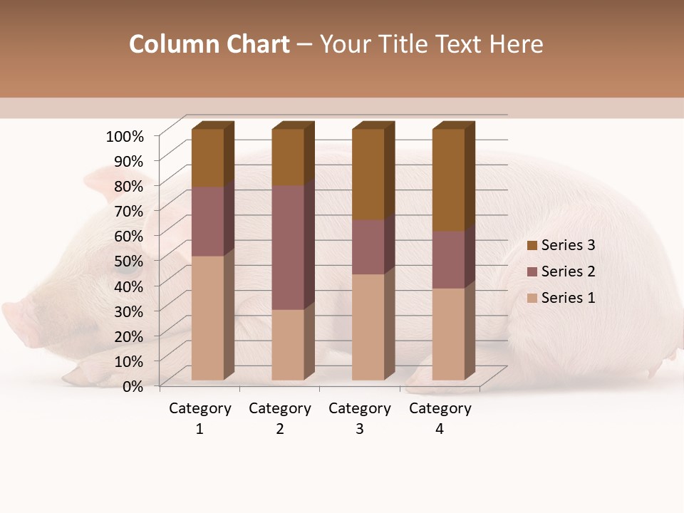 Front Down Shed PowerPoint Template