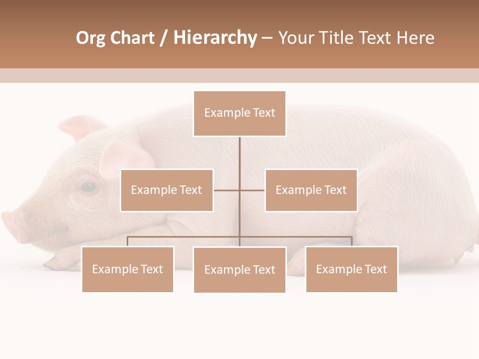 Front Down Shed PowerPoint Template