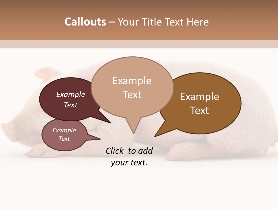 Front Down Shed PowerPoint Template
