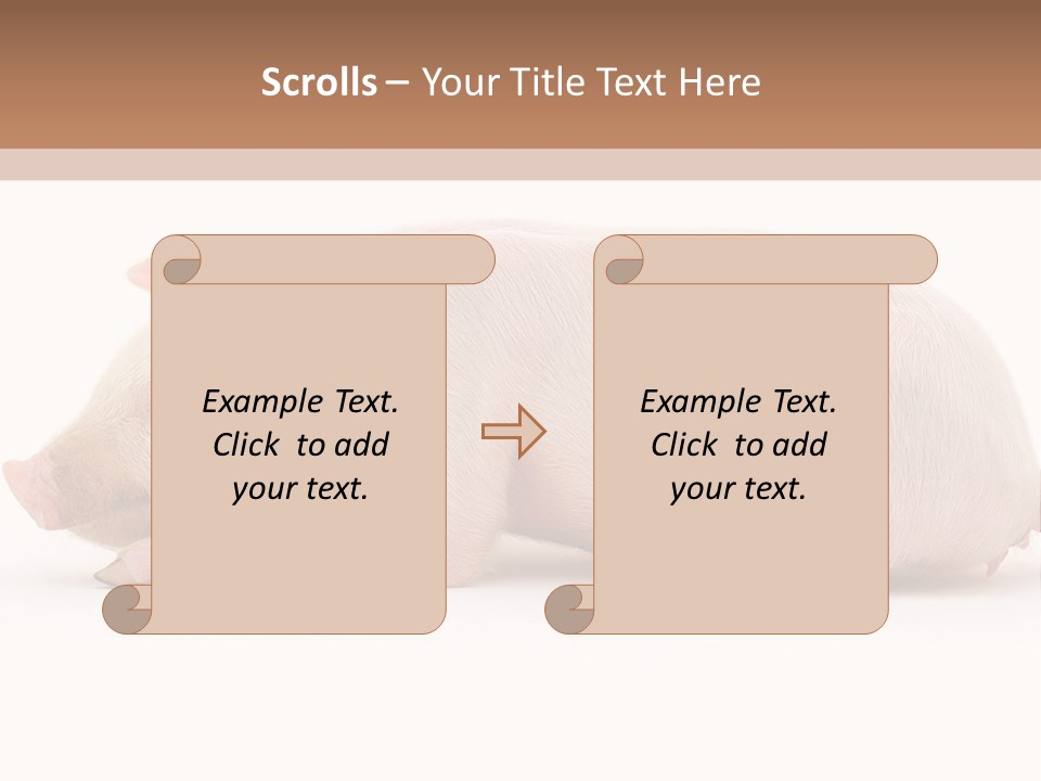 Front Down Shed PowerPoint Template