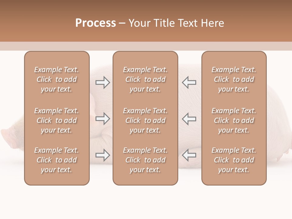 Front Down Shed PowerPoint Template