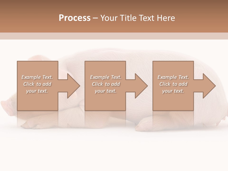 Front Down Shed PowerPoint Template