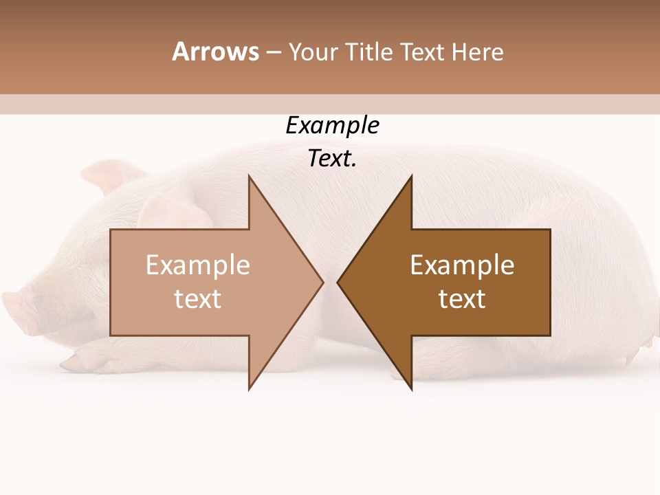 Front Down Shed PowerPoint Template