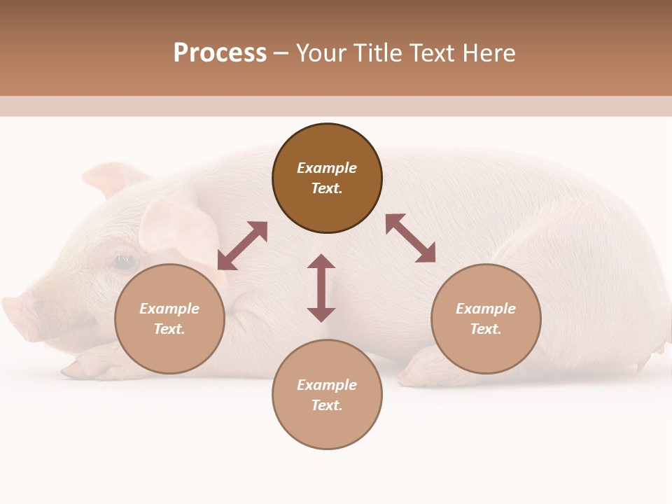 Front Down Shed PowerPoint Template
