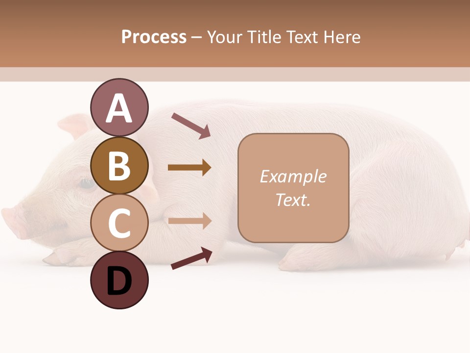 Front Down Shed PowerPoint Template