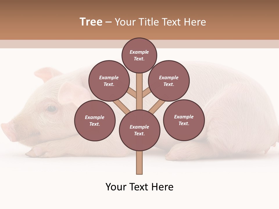 Front Down Shed PowerPoint Template