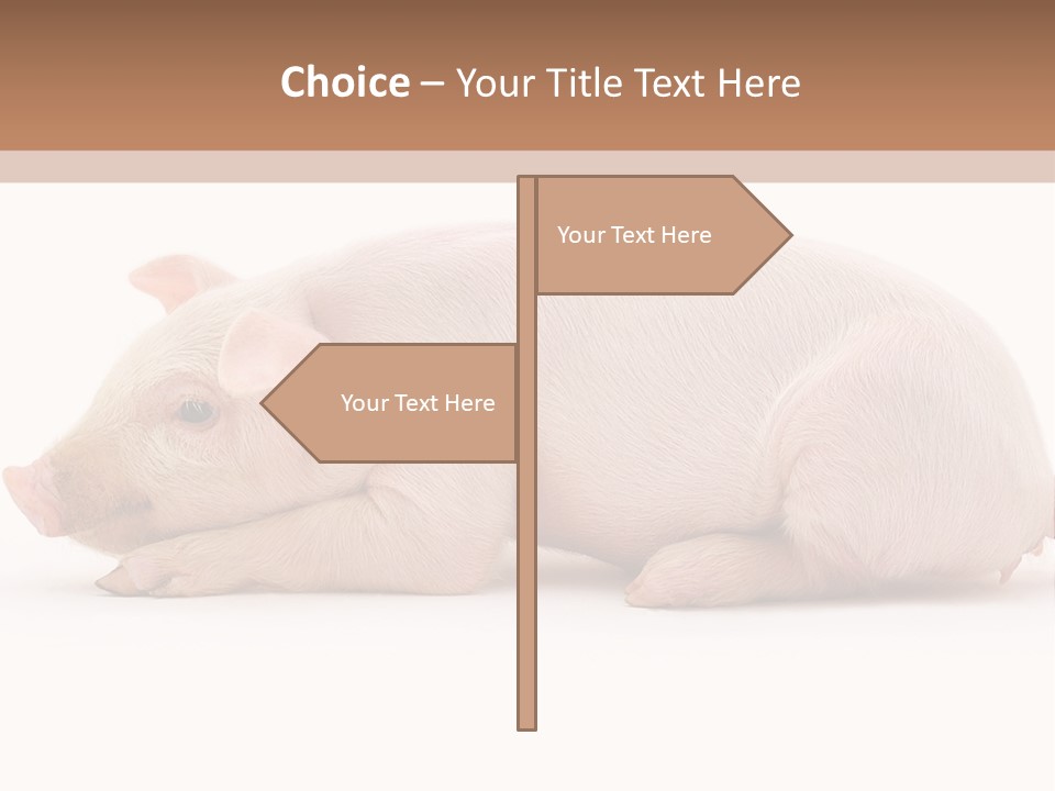 Front Down Shed PowerPoint Template