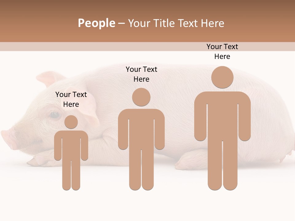 Front Down Shed PowerPoint Template