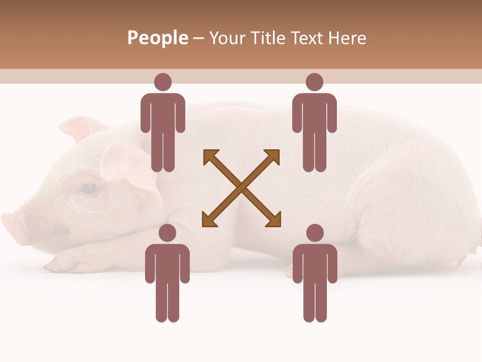 Front Down Shed PowerPoint Template