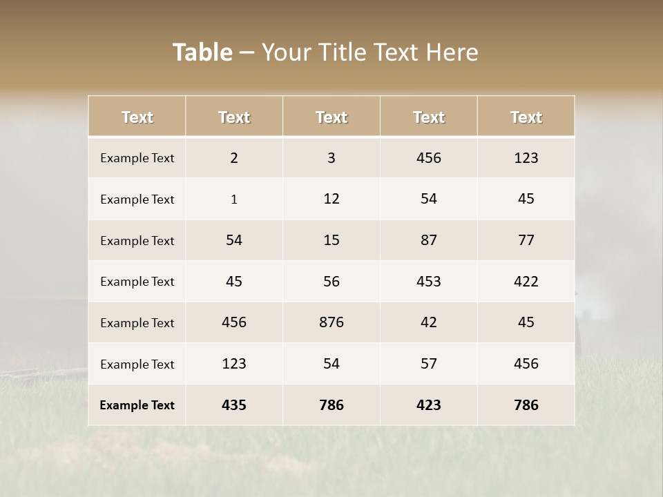 Defense Combat Warrior PowerPoint Template