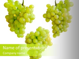 Natural Sappy White PowerPoint Template