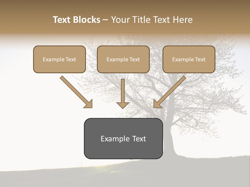 Street Black Lifestyles PowerPoint Template
